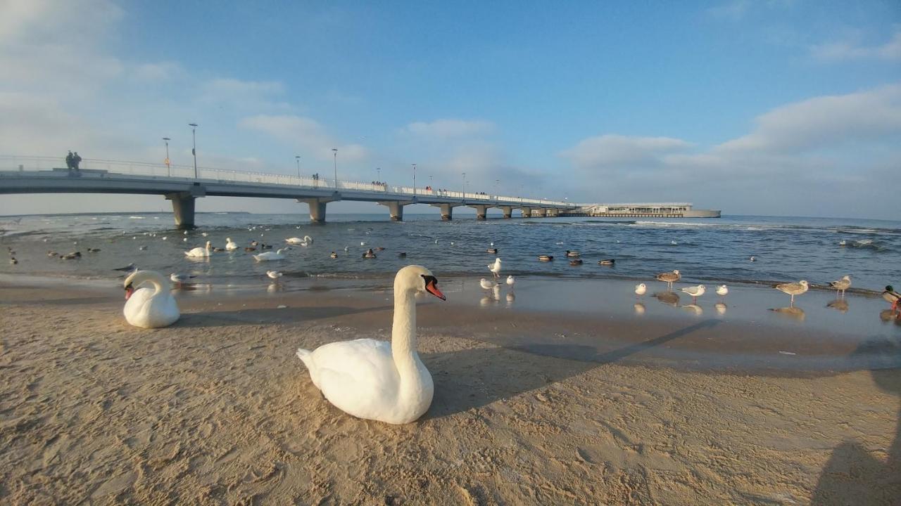 Apartamenty Prywatne W Hotelu Przy Plazy Diva Kołobrzeg Buitenkant foto